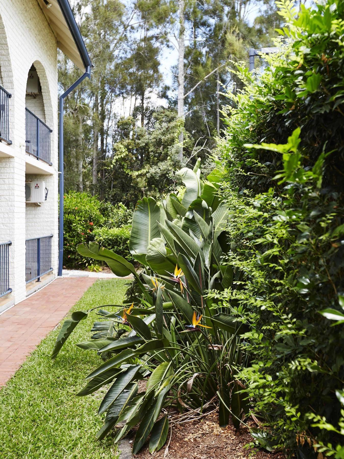 Bay Beach Motel Byron Bay Dış mekan fotoğraf